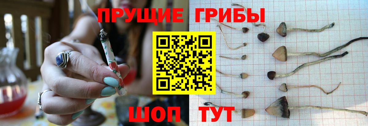 Псилоцибиновые грибы мицелий  Галлюциногенные грибы мицелий  Вход с VPN  Видное 